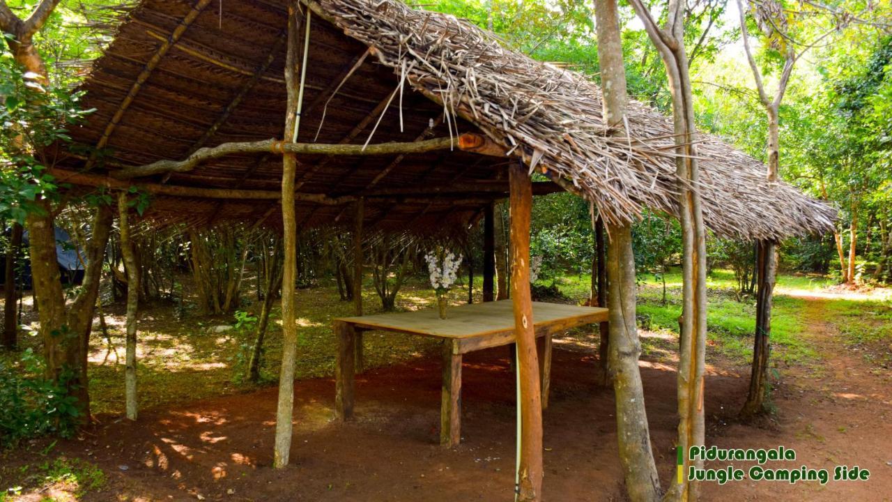 锡吉里亚 Sigiri Jungle Camping酒店 外观 照片