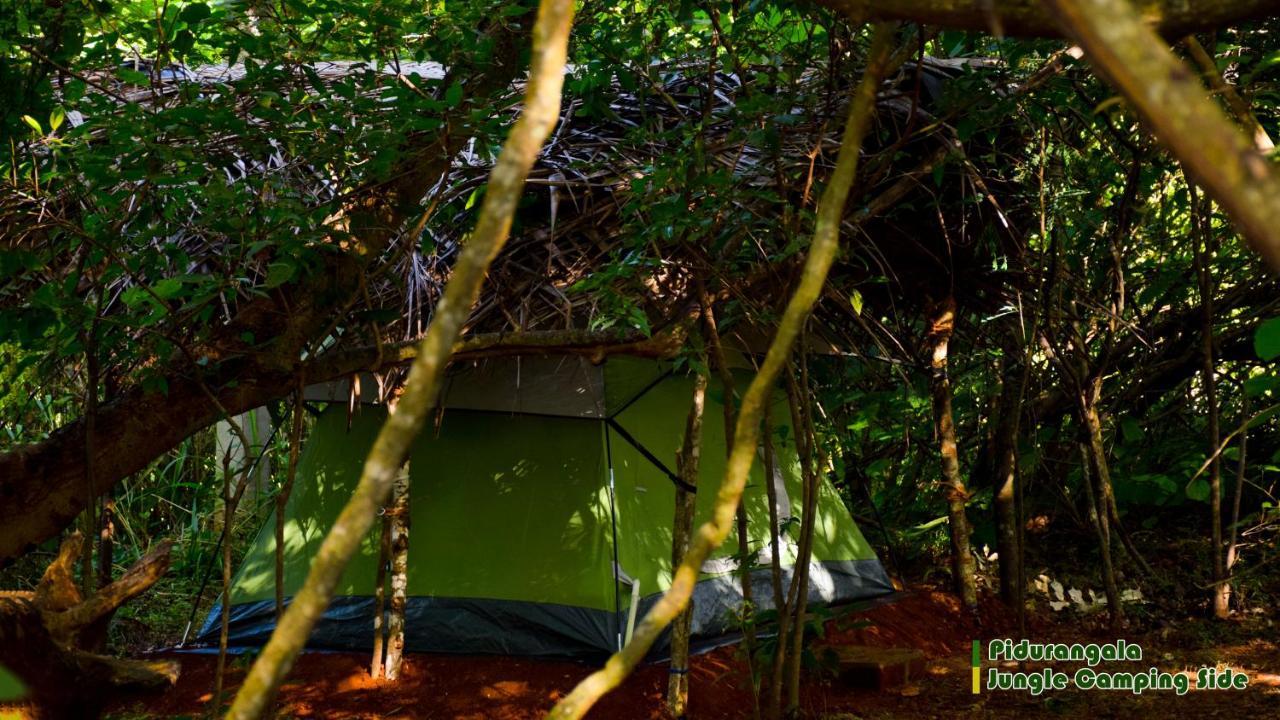 锡吉里亚 Sigiri Jungle Camping酒店 外观 照片